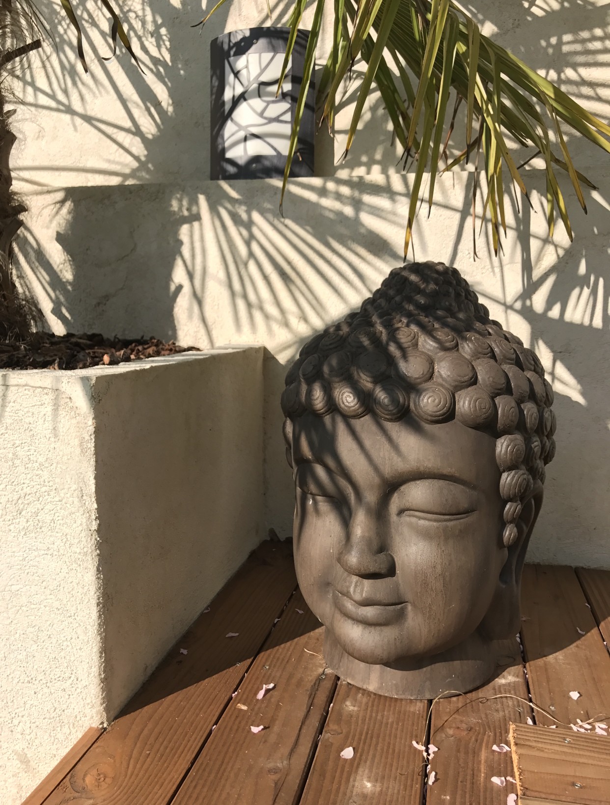 Bienvenue à Espace Zen